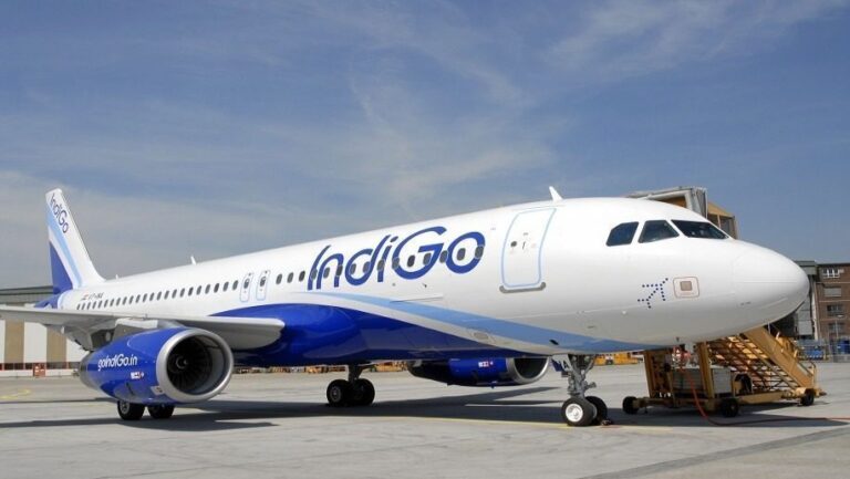 indigo1